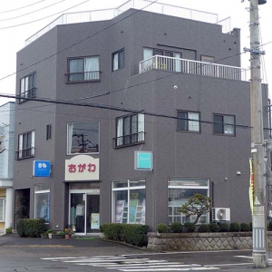 ogawa-cosume.jpg